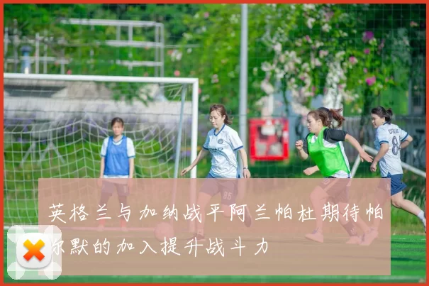英格兰与加纳战平阿兰帕杜期待帕尔默的加入提升战斗力