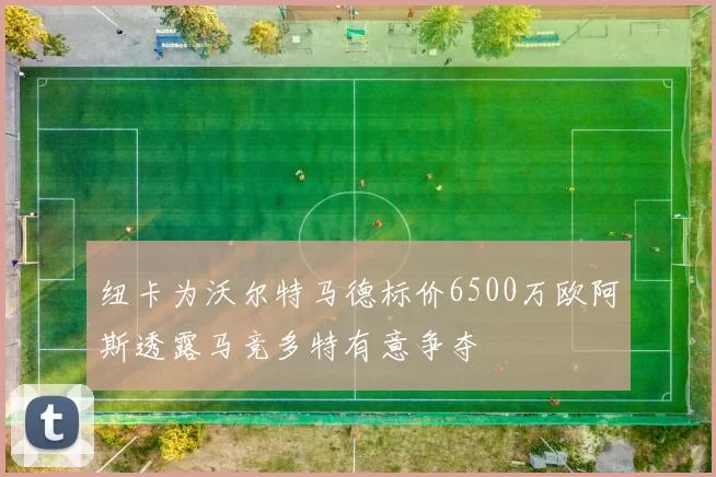 纽卡为沃尔特马德标价6500万欧阿斯透露马竞多特有意争夺